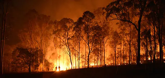 Ministro alerta que situação dos incêndios em 2023 será "ainda mais difícil"