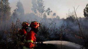 Incêndios florestais já originaram 45 detenções