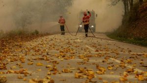 Onze distritos em risco de incêndio