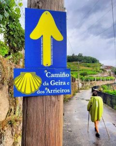 Caminho da Geira decisivo para Braga garantir mil peregrinos de Santiago