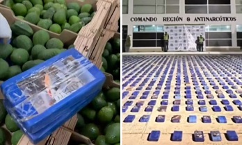 Aprendida droga na Colômbia destinada a Portugal