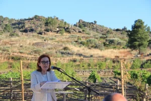 Fundo Ambiental já iniciou pagamentos do programa Edifícios Mais Sustentáveis