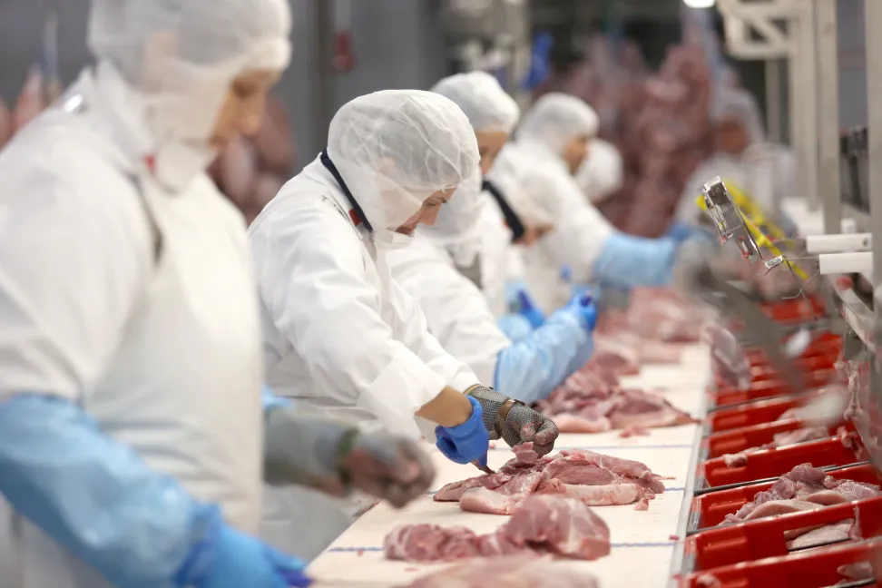 gerikka4ya1q TRABALHADORES DA NOBRE VOLTAM À GREVE ESTA QUARTA-FEIRA