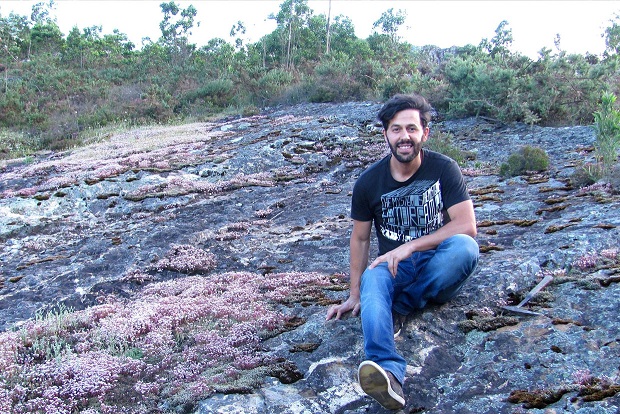 Fungo fossilizado com 300 milhões de anos é descoberto na Serra do Buçaco e revela segredos das florestas primitivas