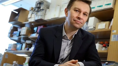 Cientistas de Harvard Revertem Envelhecimento em Macacos e Anunciam Testes em Humanos