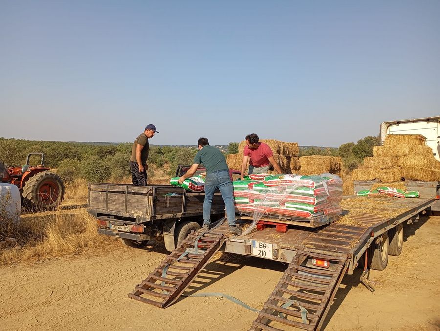 Incêndios de Idanha e Penamacor geram onda de solidariedade