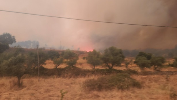 Inferno avança sem controlo: Louriçal do Campo cercado pelas chamas
