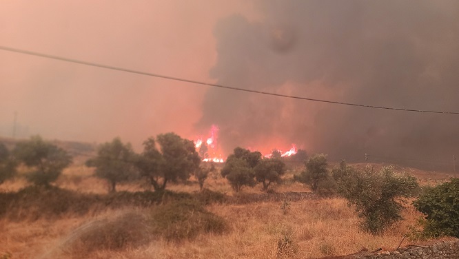 Inferno avança sem controlo: Louriçal do Campo cercado pelas chamas